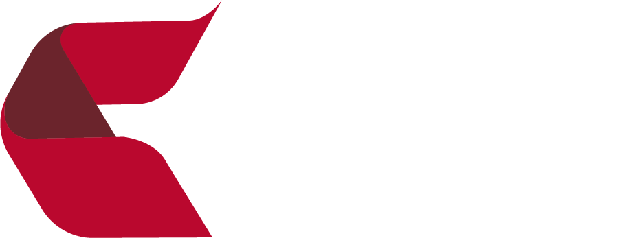 CHIP